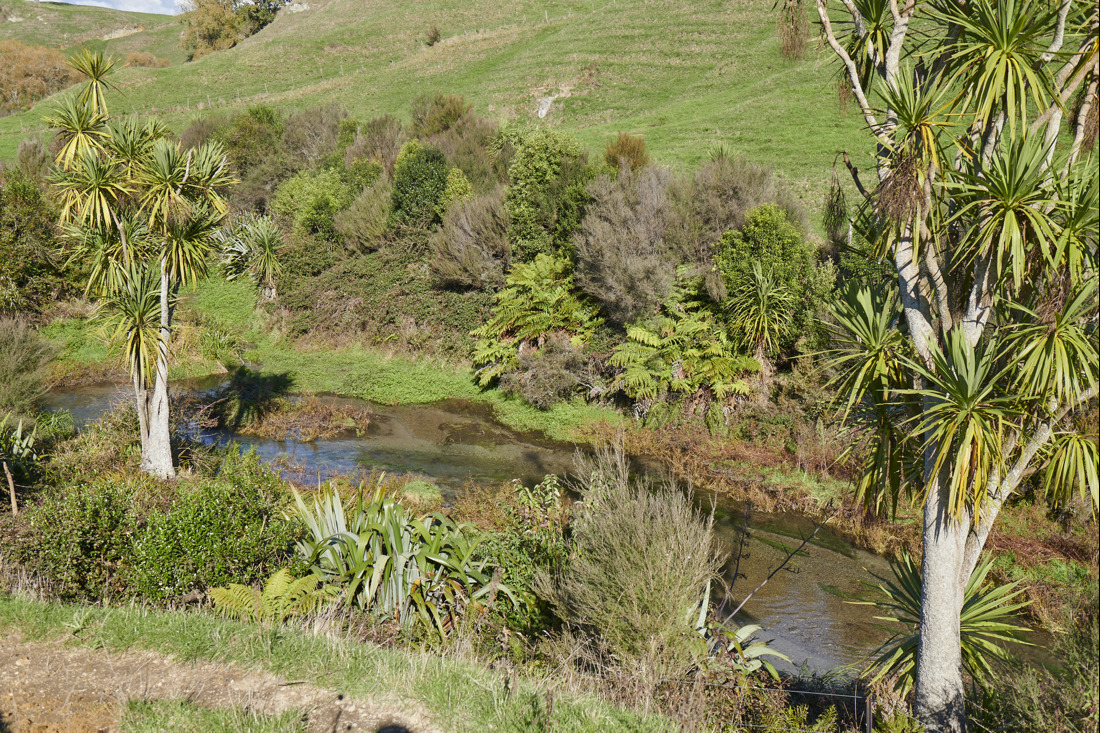 216 Waimakarri Rd, Tirau 0084