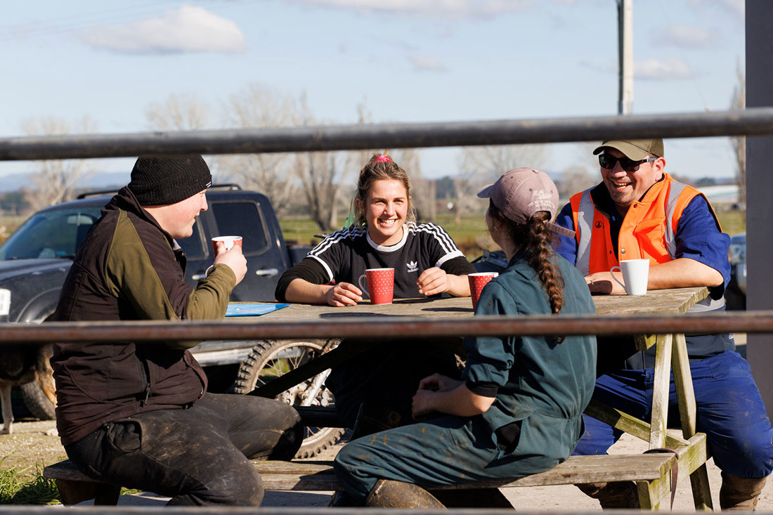 A dairy farm team discussing how to remove workplace inefficiencies.
