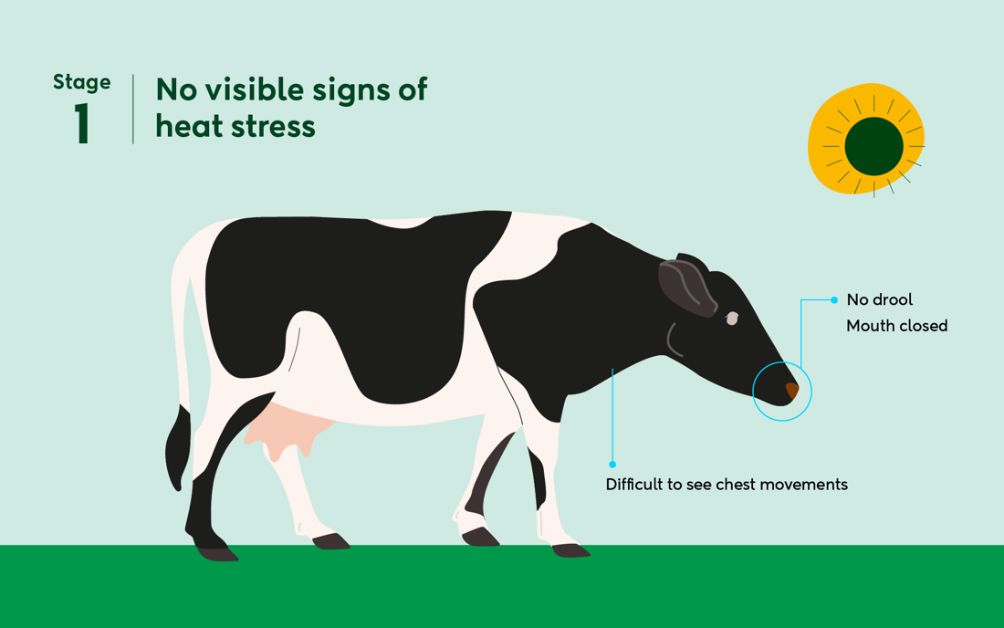 Heat Stress S1 (1)