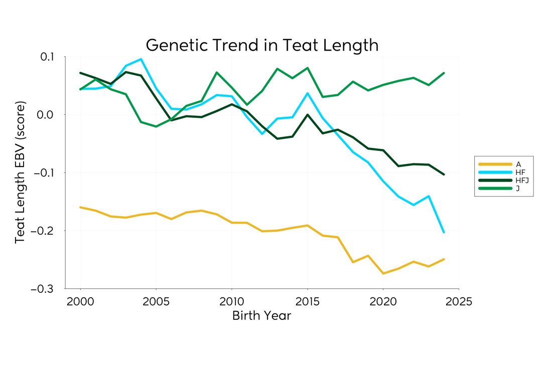Genetic Trend Graph Teatlength 2025