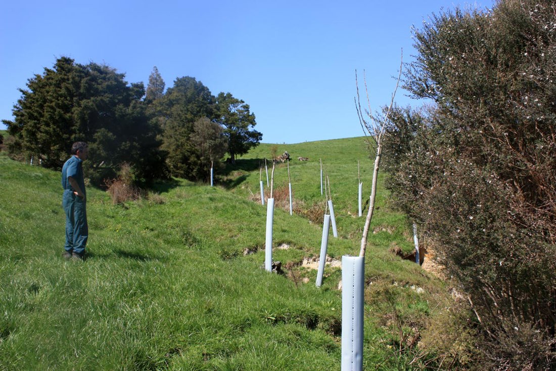 An image of a person looking on eroded soil