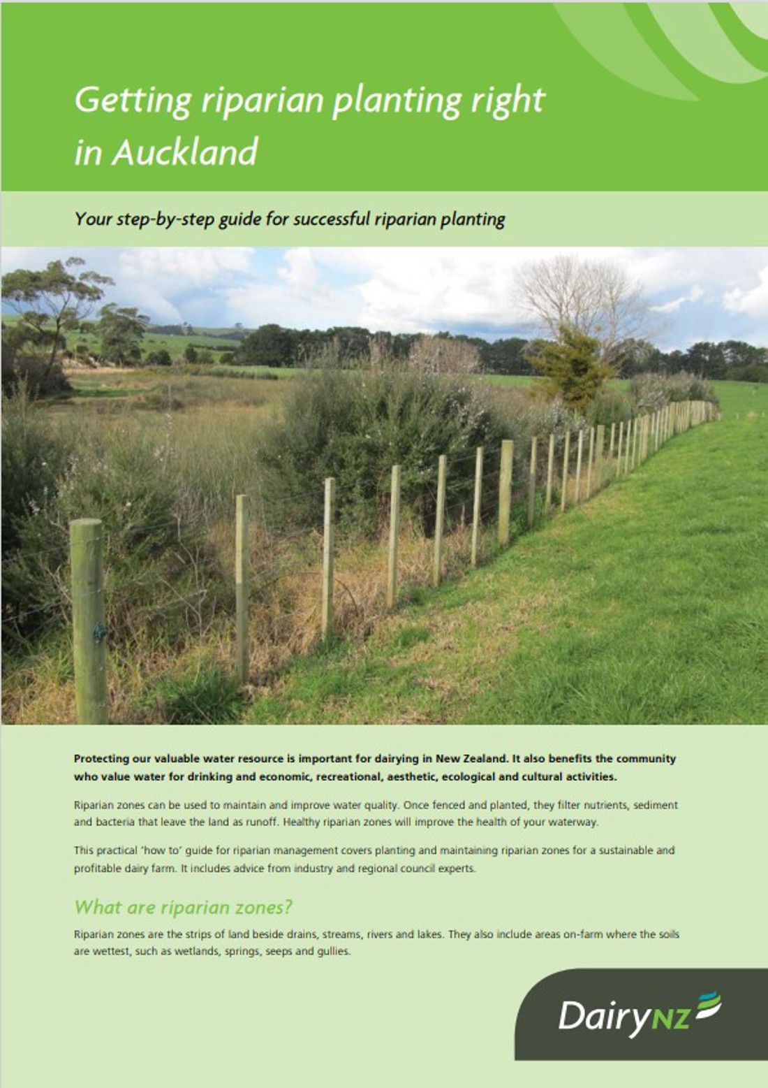 Getting Riparian Planting Right Auckland Image