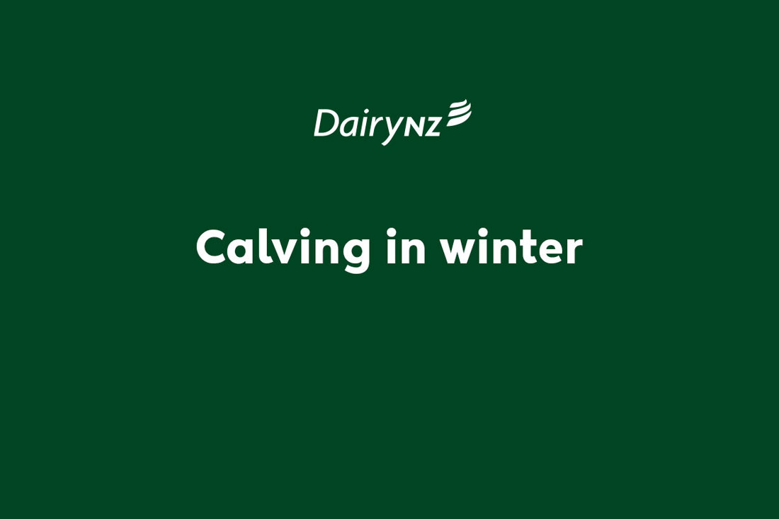 Calving In Winter Video Placeholder Image
