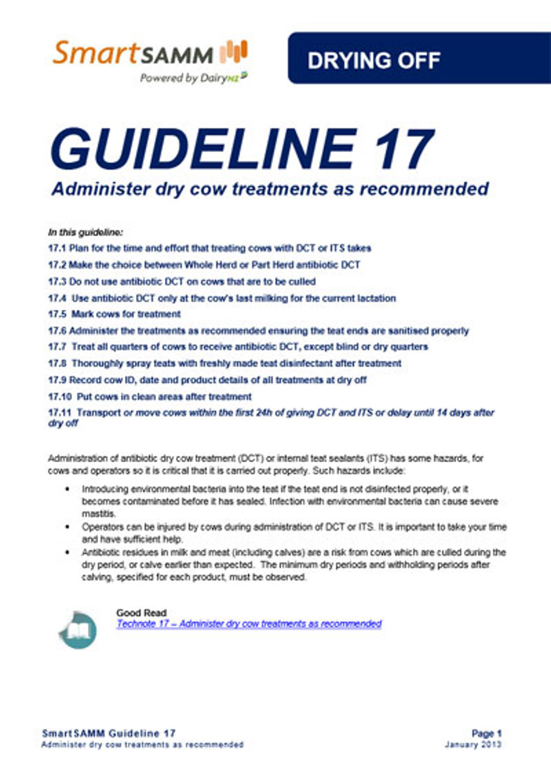 Guideline 17