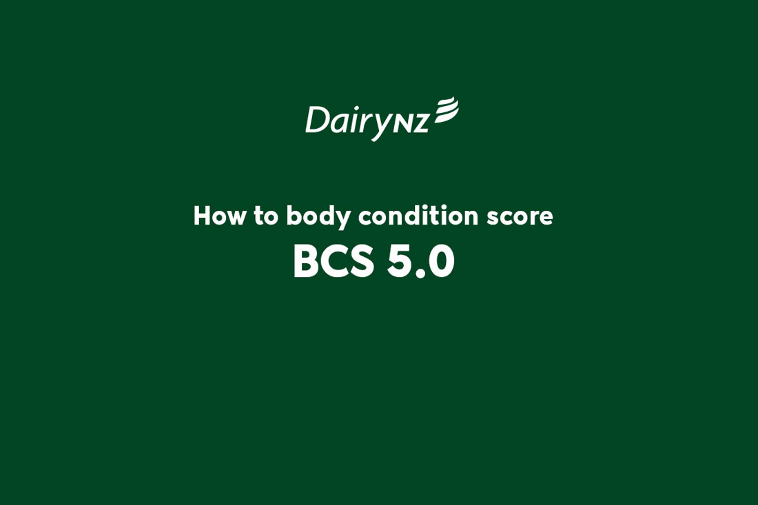 How To BCS 5 Video Placeholder Image