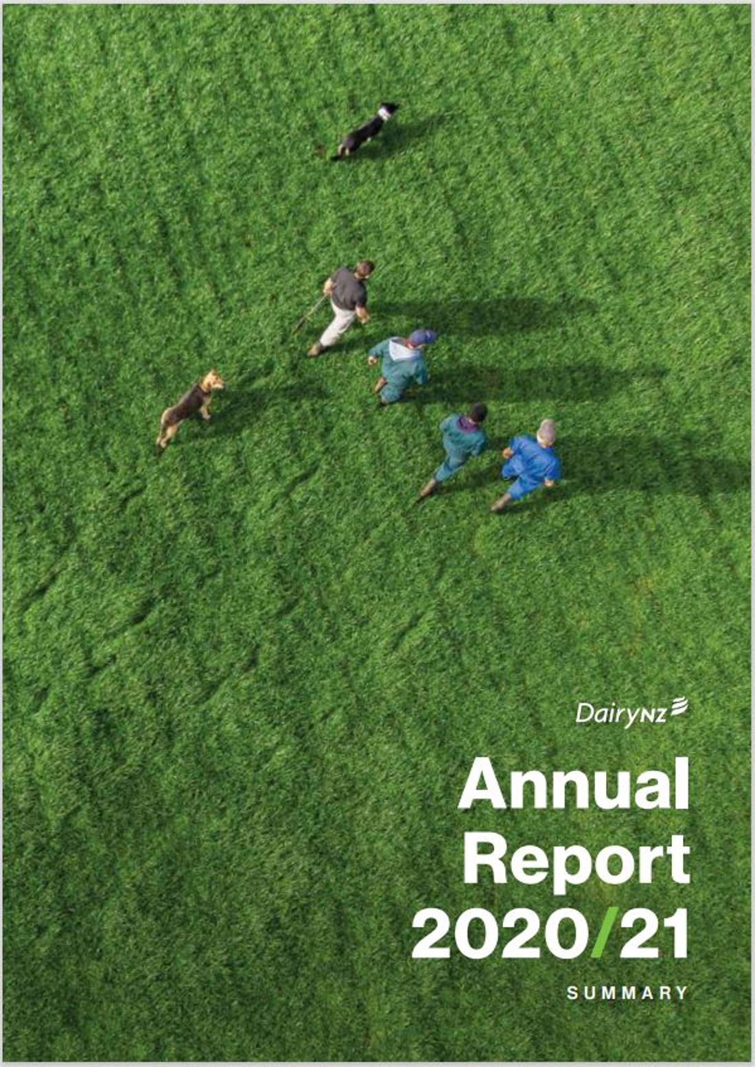 Annual Report 2020 2021 Summary Image