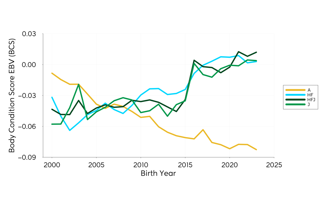 Genetic Trend Graph Bcs 2024