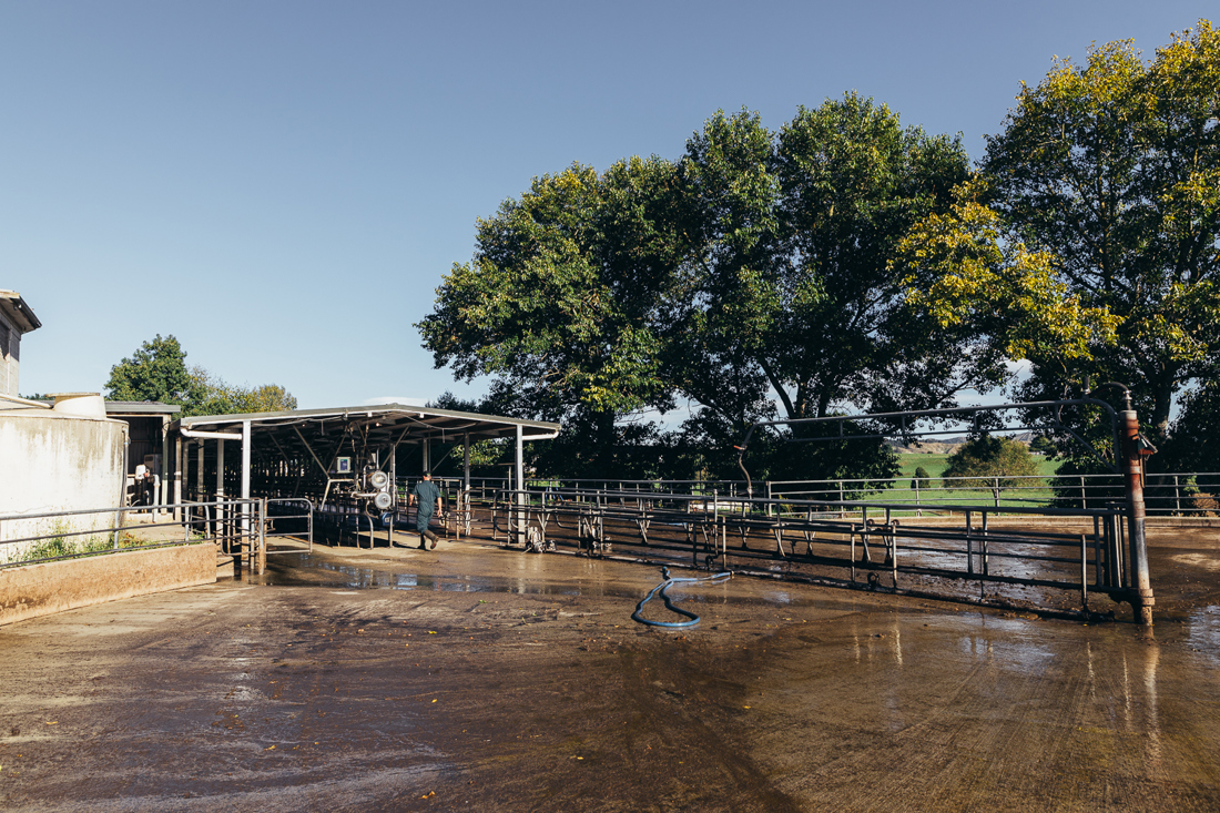 (Low Res) Nic Staveley HULA Godairy MG 8790