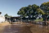 (Low Res) Nic Staveley HULA Godairy MG 8790