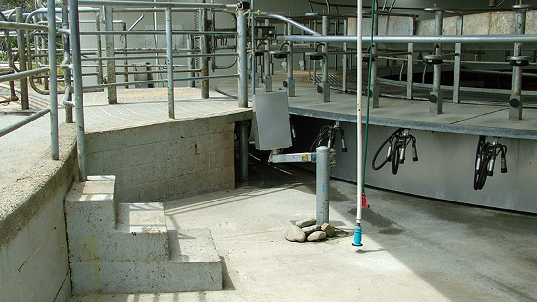 A cow stable platform