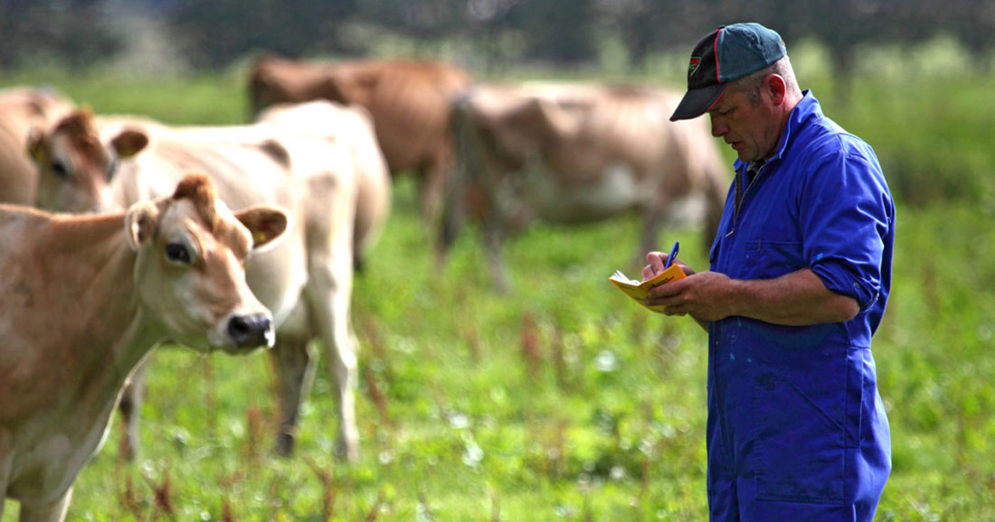 Rural Professionals Hub Veterinarians OG Image 1200X630