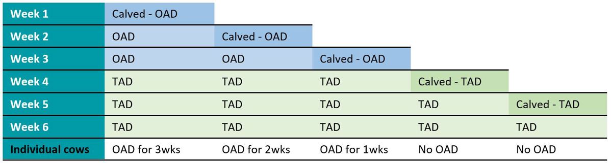 Early Lactation once-a-day (OAD) for 3 weeks