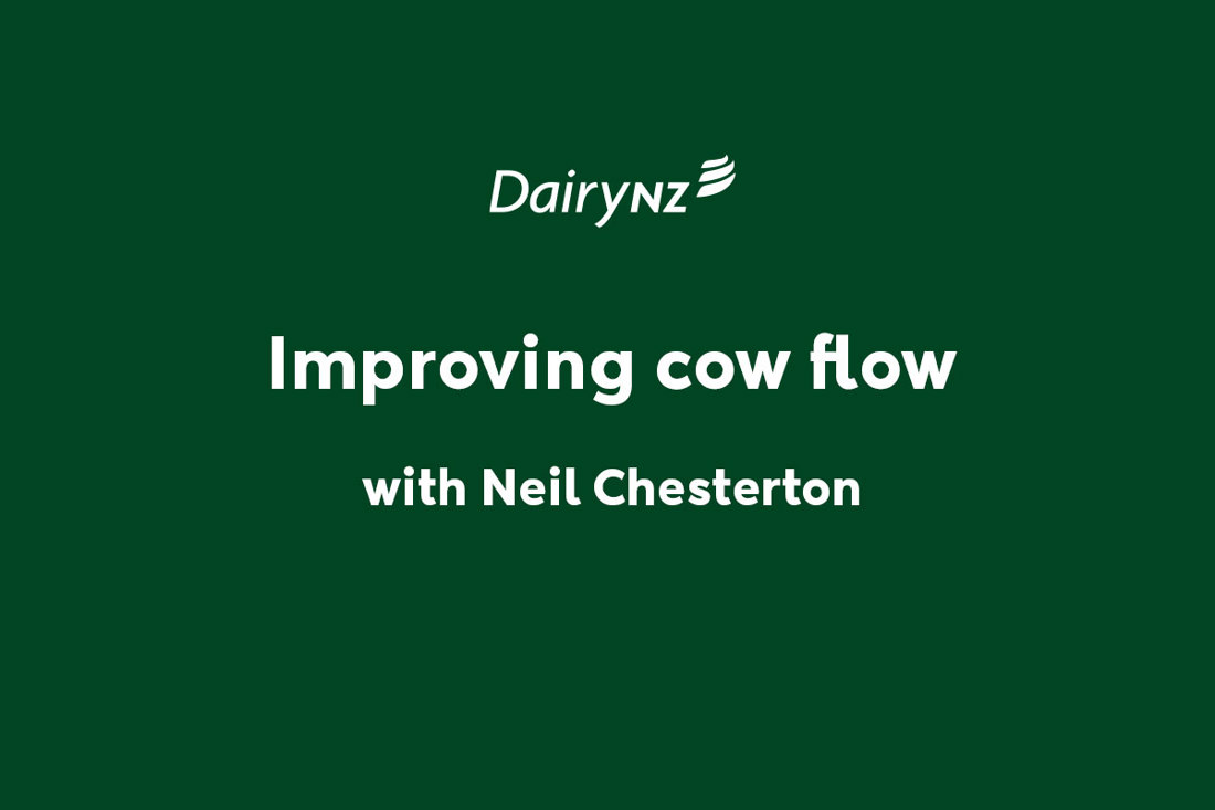 Improving Cow Flow With Neil Chesterton Video Placeholder Image