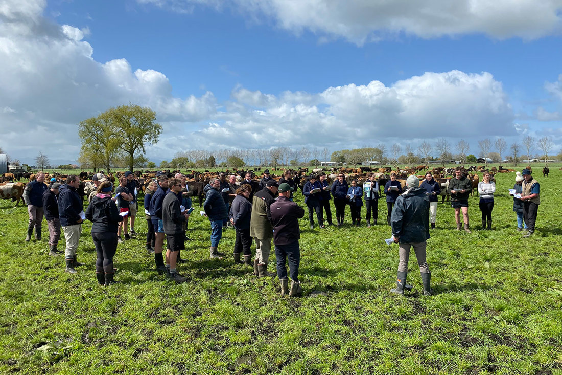 Dairynz Impactful Events 1500X1000