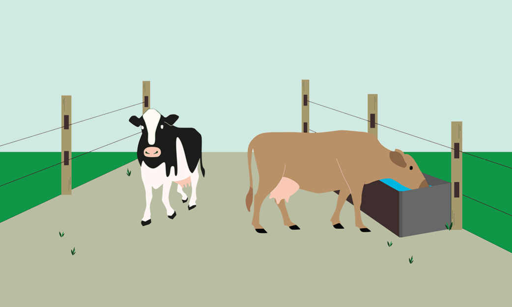 Heatstress Illustration 2