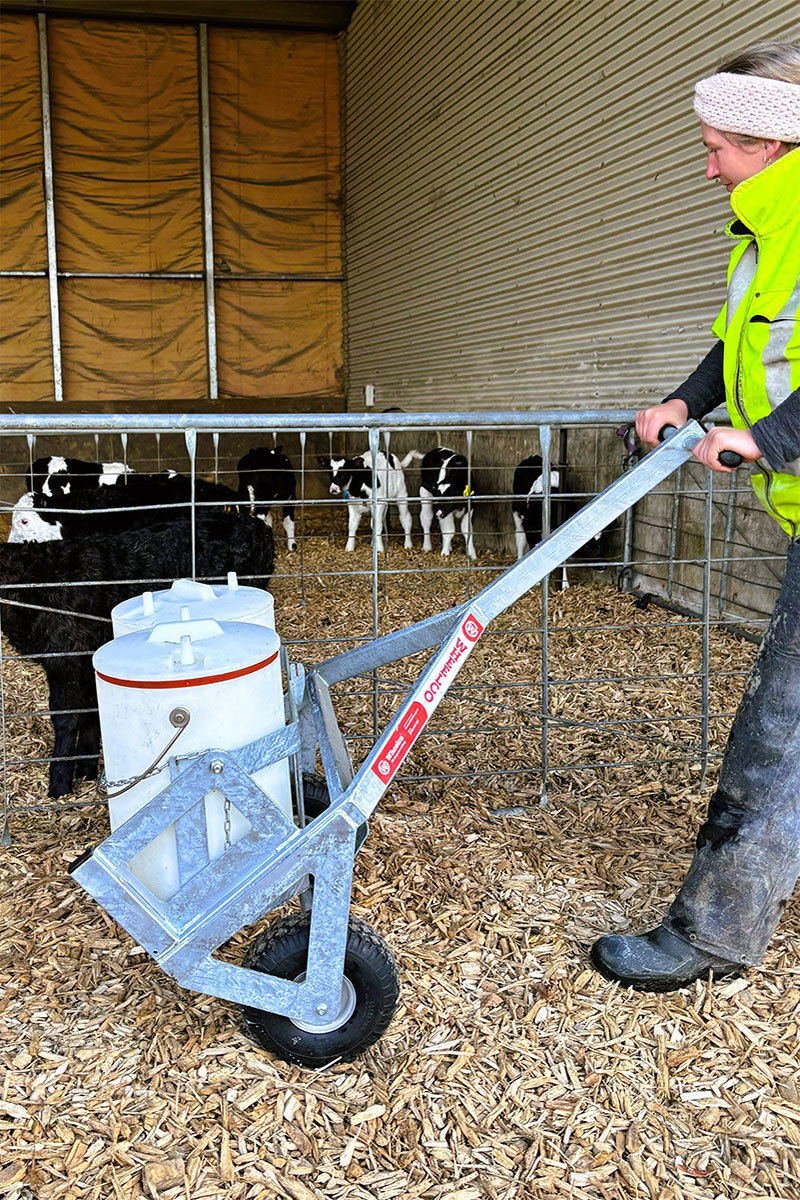 Calf rearer using the Wheelco trolley for safe movement of heavy milk buckets