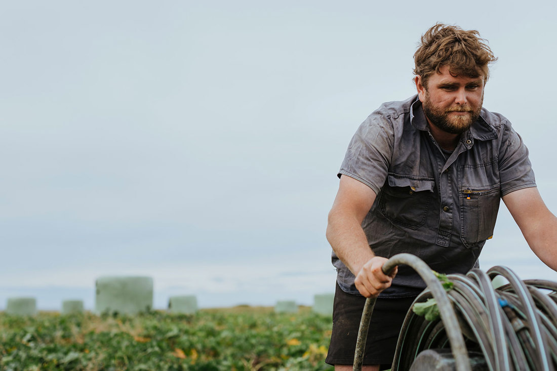 Luke Templeton working in a paddock to set up winter grazing for his dairy herd