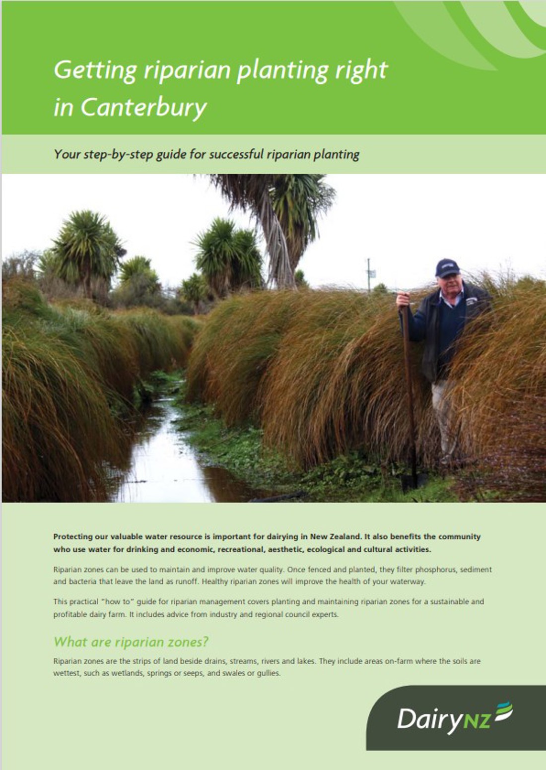 Getting Riparian Planting Right Canterbury Image