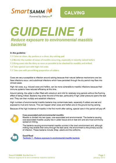 Guideline 1
