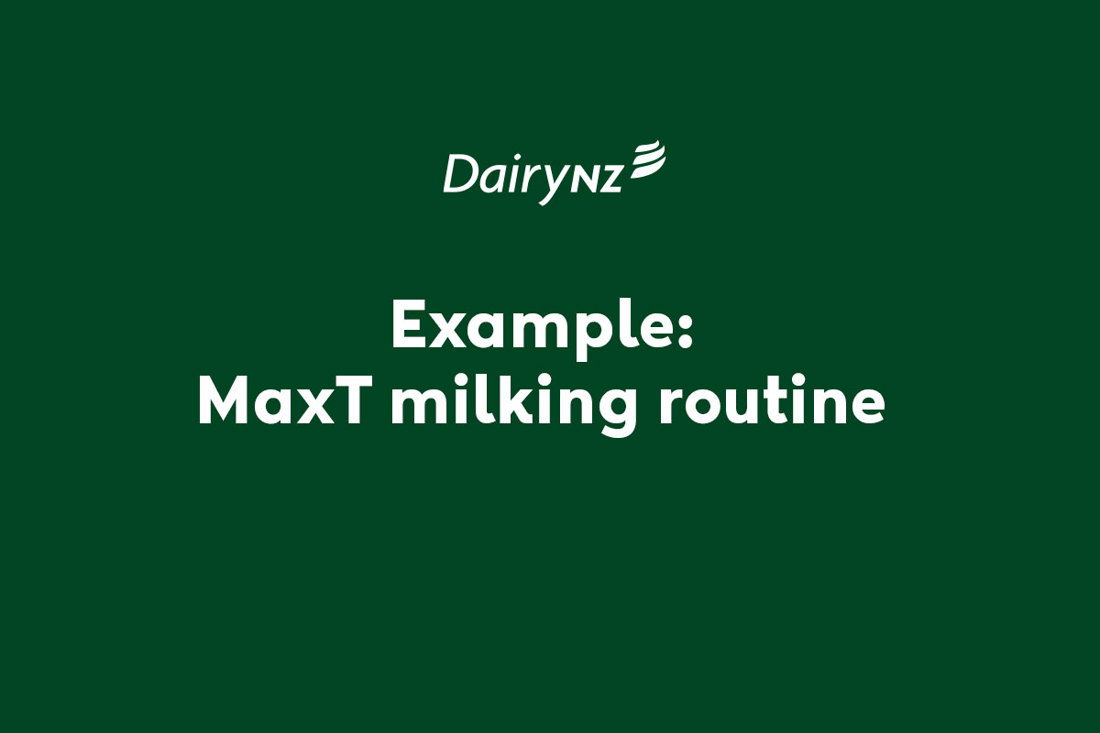 Example Maxt Milking Routine Video Placeholder Image