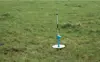 Consistent Grazing Height (1)