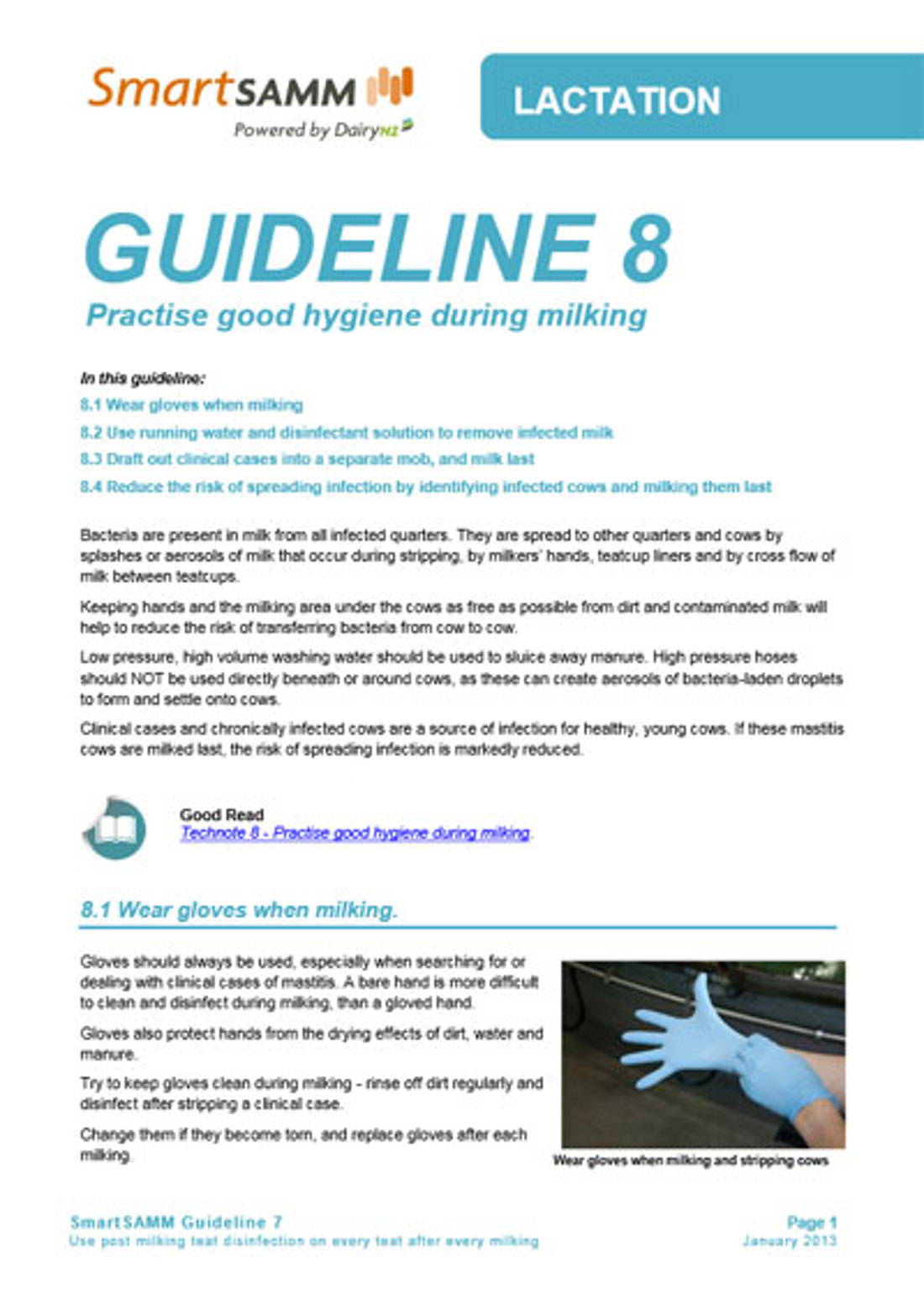 Guideline 8