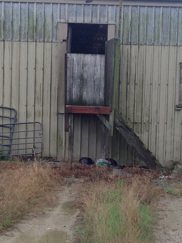 Use Of Existing Wool Shed 1