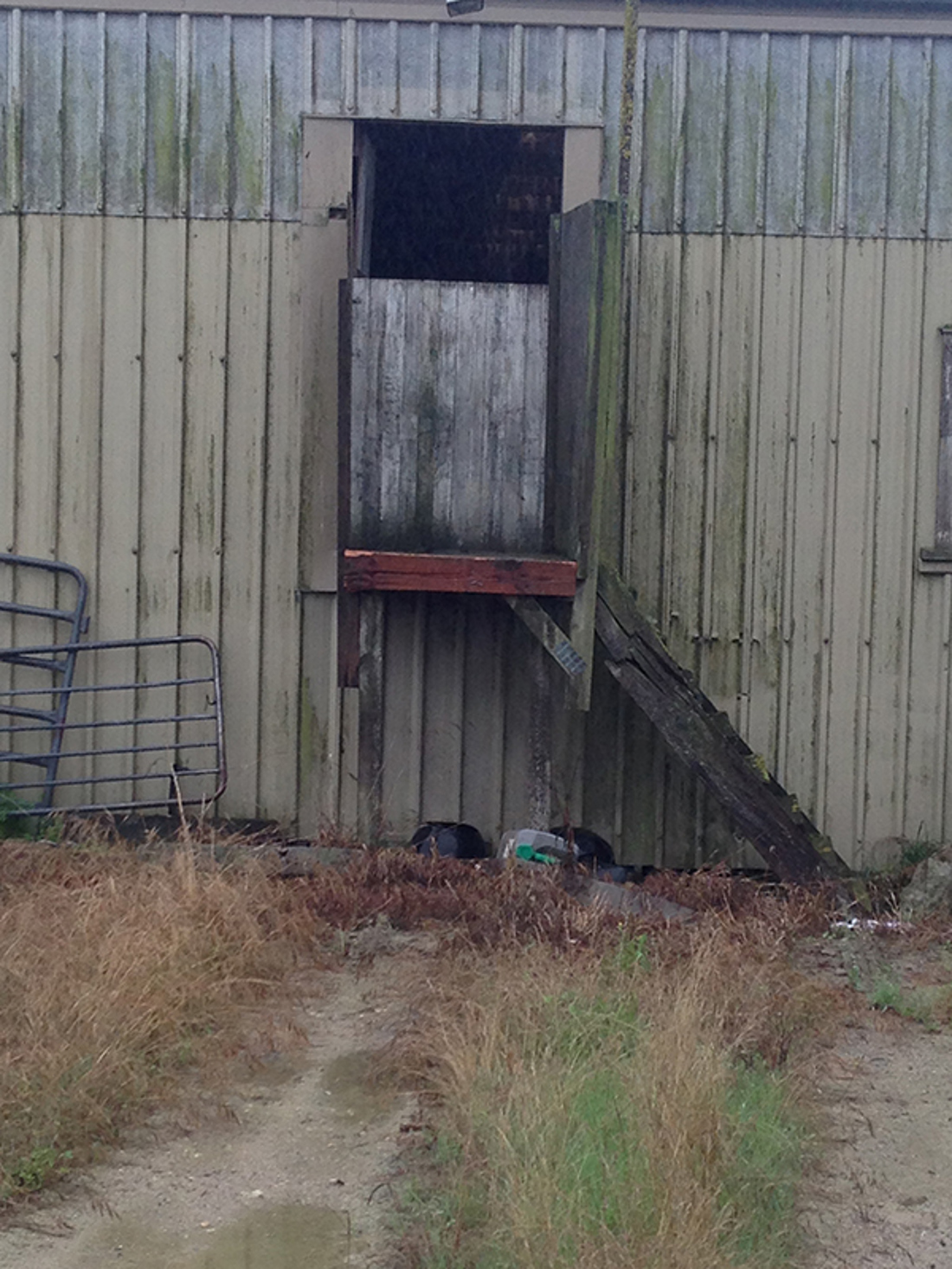 Use Of Existing Wool Shed 1