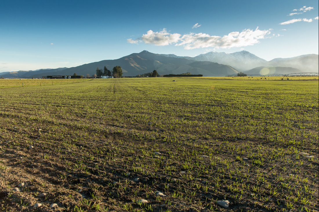 A farm with a fertilized soil and a mountain in a horizon.