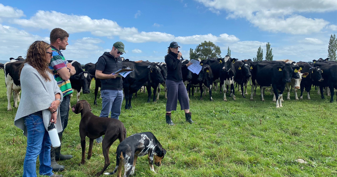 Stacy Hendriks 1200X600