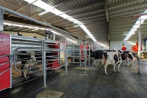 Stradbrook Farm Dairy