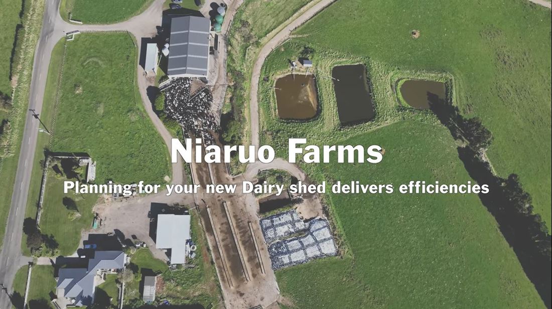 Niaruo Farms How A Taranaki Dairy Farmer Saves Energy Video Placeholder Image