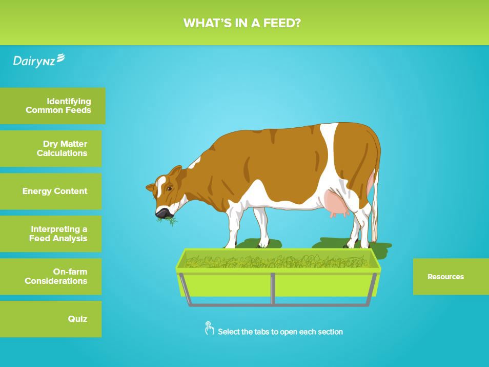 A screen shot from the What's in a Feed module of Feedright