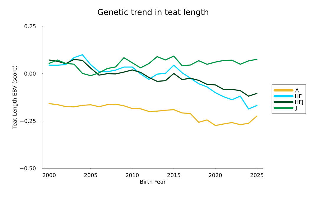 Teatlength 25Trend