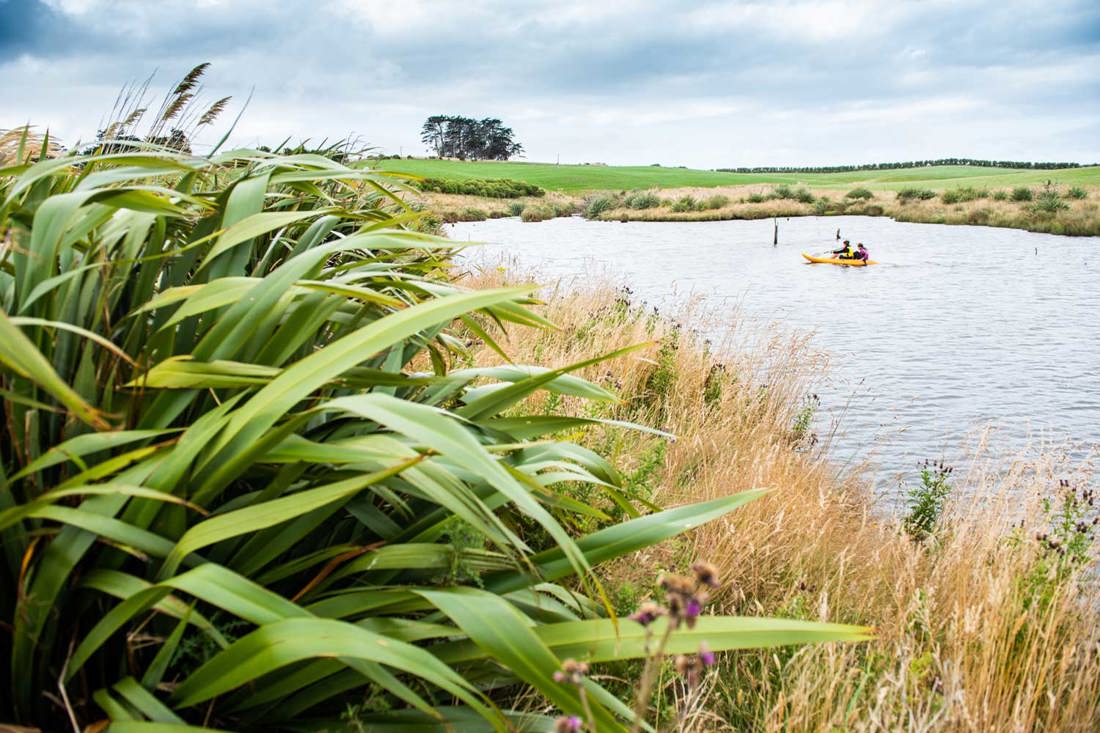 A waterway surrounded by native plants and two people kayaking across it