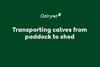 Transporting Calves From Paddock To Shed Video Placeholder