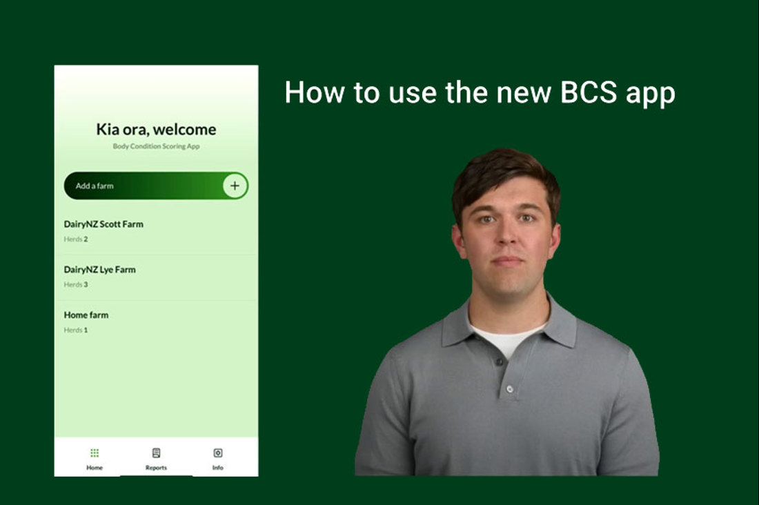 BCS Body Condition Scoring App Help Video Placeholder Image V4