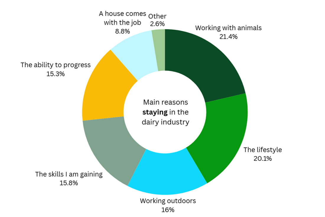 Why Respondents Stayed Dairy Sector 2025 V5