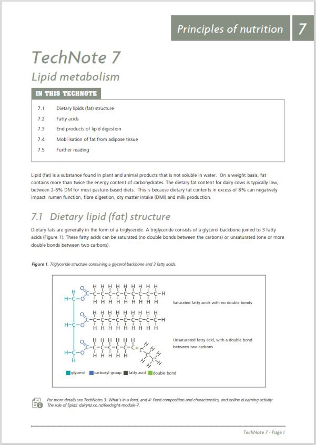 Feedright Module 7 Image