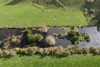 20210910 DNZ Karyn&Daryl Johnson Stratford Taranaki 080