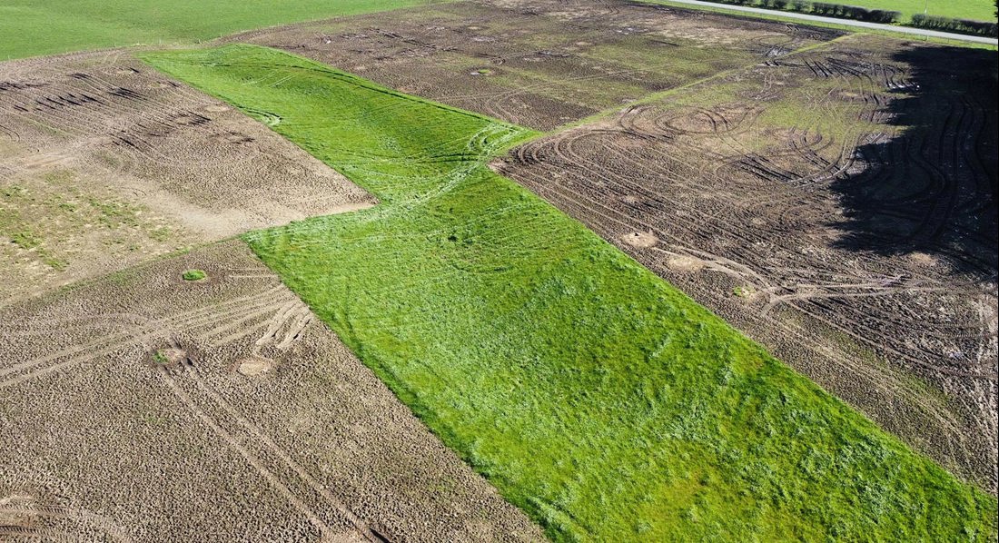 Critical source area, unsprayed uncultivated grass buffer example during winter grazing