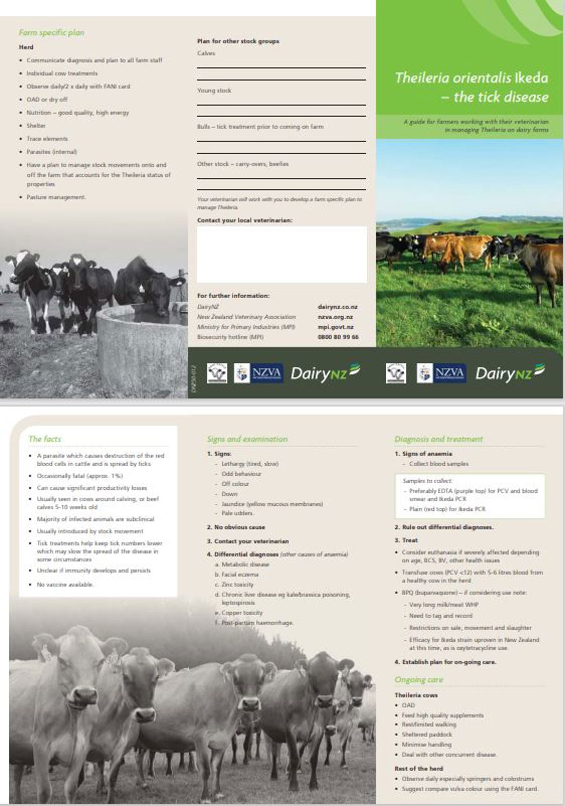 Theileria Short Guide Image