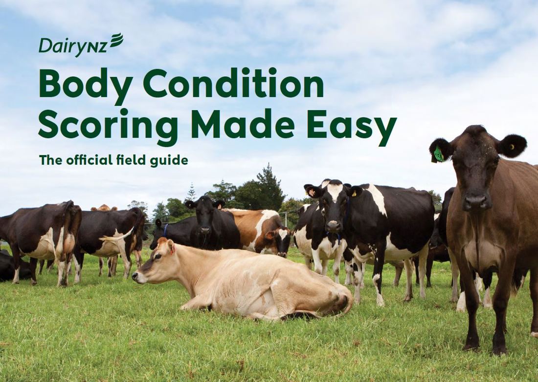 Body Condition Score Made Easy Field Guide 2024 Image