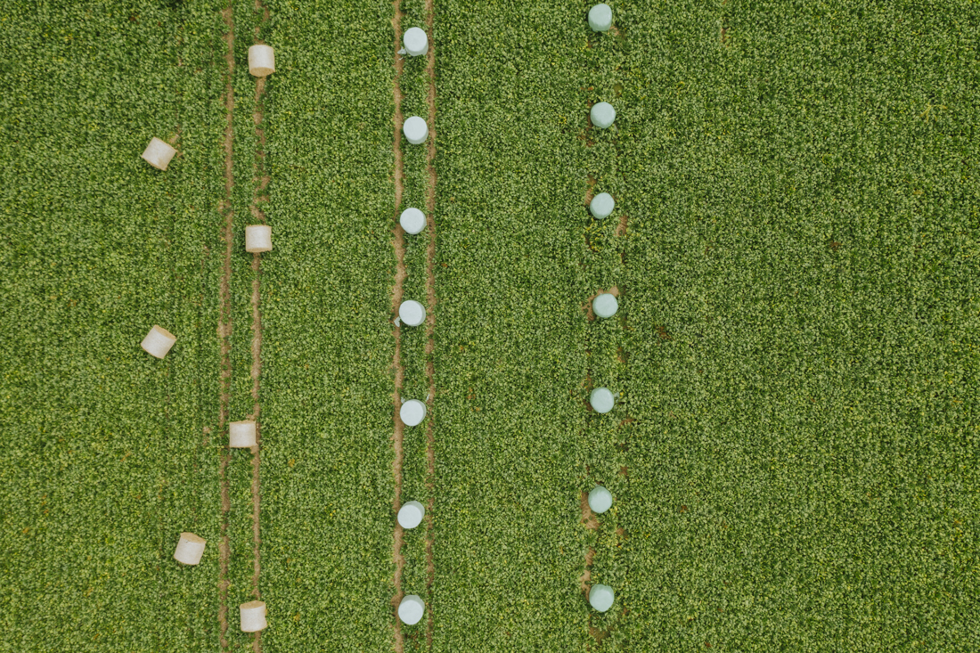 Aerial view of farm field