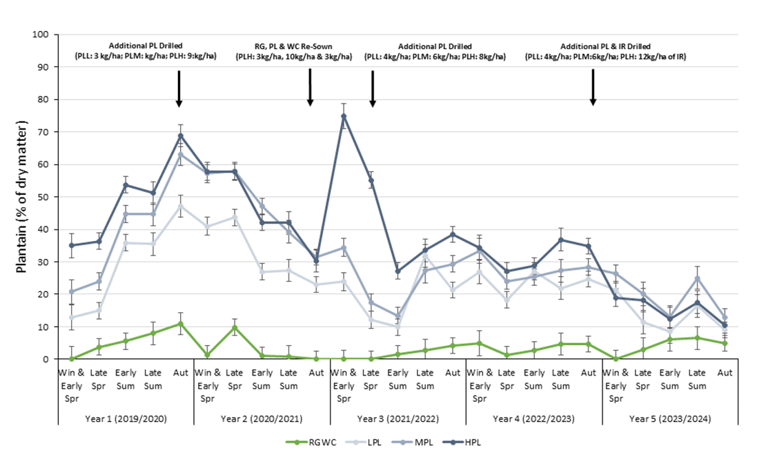 Plantain Overview Massey Resowing Graph