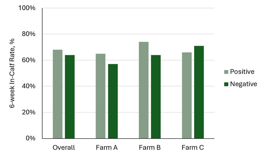 Blood Bhb And Cow Performance Graph Figure 5