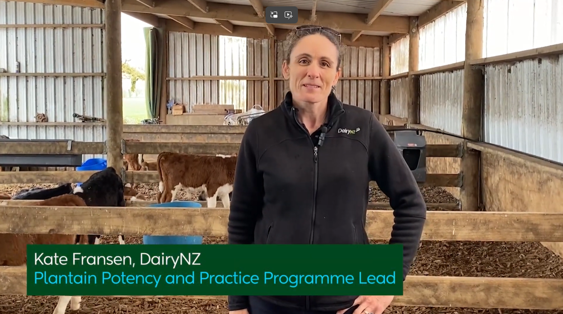 Plantain Rotorua Farmers Video Placeholder Image