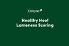 Healthy Hoof Lameness Scoring Video Placeholder Image