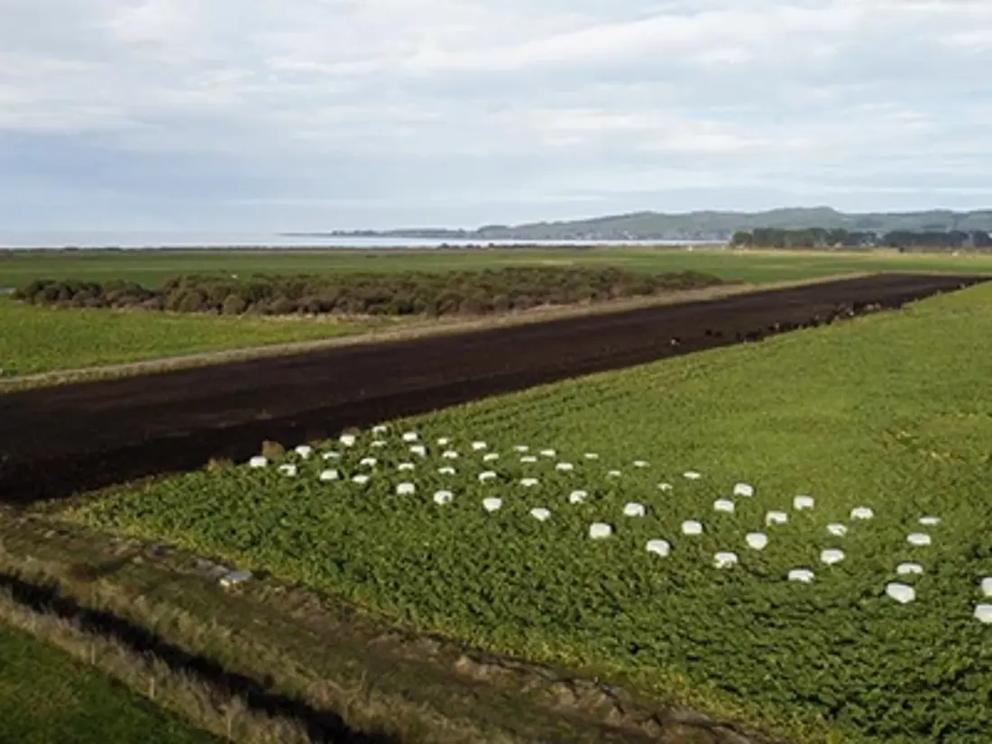Setting Up Strategic Grazing Pod