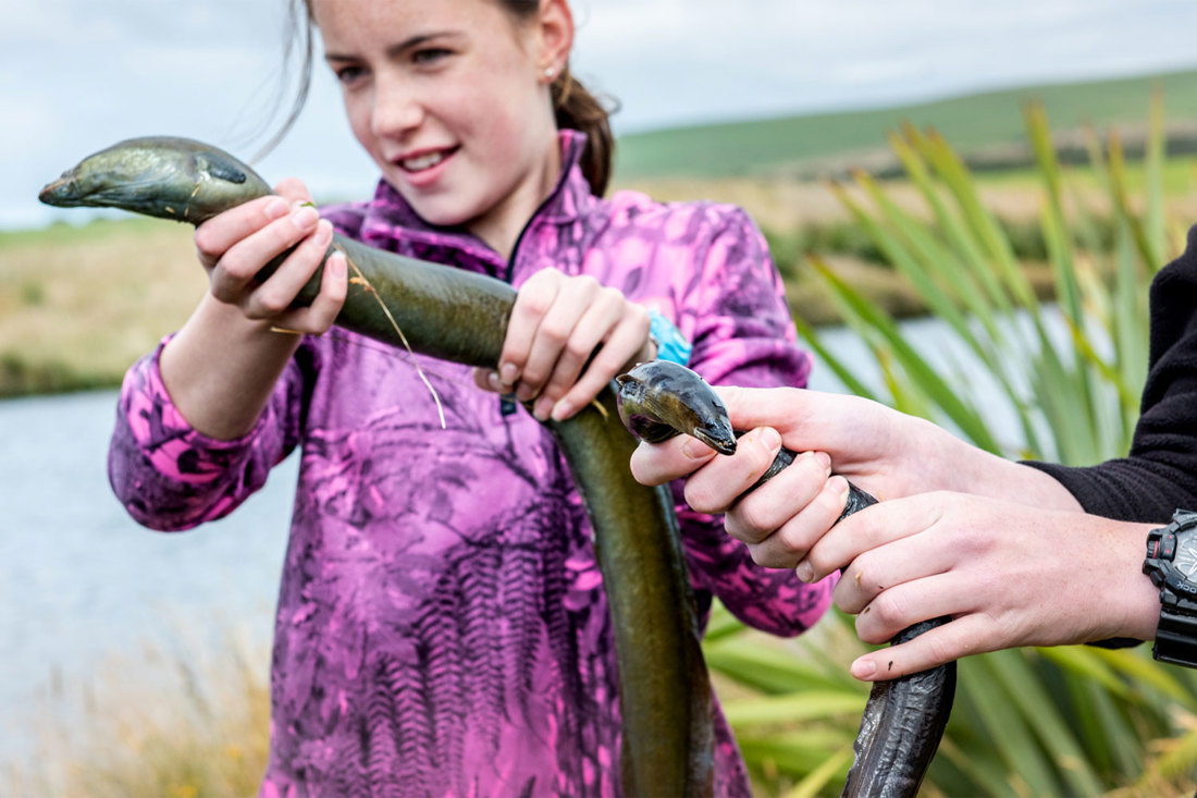 Child holding an eel on the bank of a river surrounded by native plants